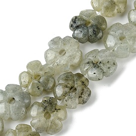 Natural Labradorite Beads Strands, Flower