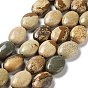 Natural Picture Jasper Beads Strands, Flat Oval