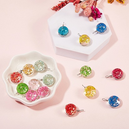 20Pcs 10 Colors Transparent Glass Pendants, with Dried Flower Inside and Stainless Steel Finding, Flat Round