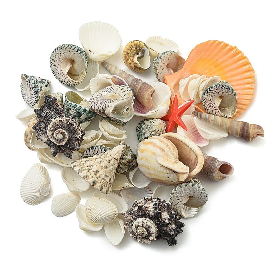 Perles naturelles de conque et de coquillage, pour une soirée à thème sur la plage, aquarium, bricolage, décor de mariage