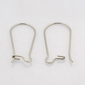 316 Surgical Stainless Steel Hoop Earrings