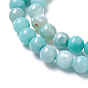 Natural Dyed Agate Imitation Turquoise Beads Strands, Round