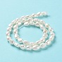 Natural Cultured Freshwater Pearl Beads Strands, Two Side Polished, Grade 6A