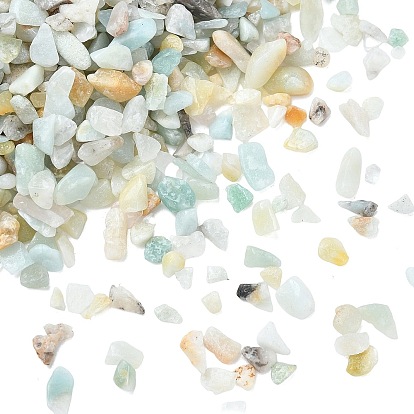 Бусины из амазонита с натуральными цветами, нет отверстий / незавершенного, 2~8x2~4 мм, Около 8500 шт / 500 г