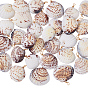 30 шт. Подвески из натуральных ракушек, с медной проволокой, подвески в форме ракушек