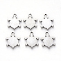 304 Stainless Steel Charms, Laser Cut, Tortoise