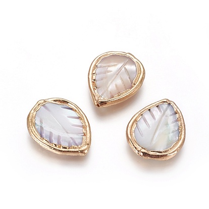 Shell Beads, Edge Golden Plated, Leaf