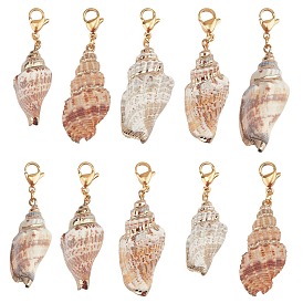 Pendentifs en coquillage électrolytique, avec 304 acier inoxydable fermoir pince de homard