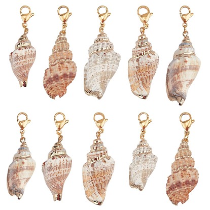 Pendentifs en coquillage électrolytique, avec 304 acier inoxydable fermoir pince de homard