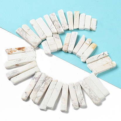 Natural Howlite Beads Strands, Top Drilled Beads, Rectangle