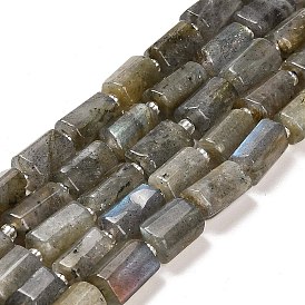 Natural Labradorite Beads Strands, with Seed Beads, Faceted Column
