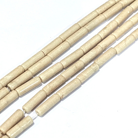 Natural Petrified Wood Beads Strands, Column