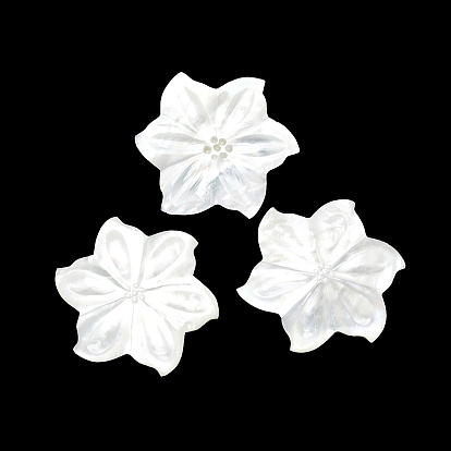 Natural Shell Cabochons, Flower