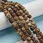 Natural Picture Jasper Bead Strands, Tumbled Stone, Nuggets