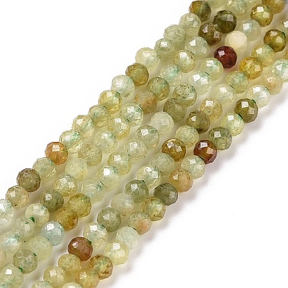 Natural Green Garnet Beads Strands, Faceted, Round