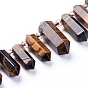Natural Tiger Eye Beads Strands, Top Drilled Beads, with Glass Beads, Faceted, Double Terminated Point