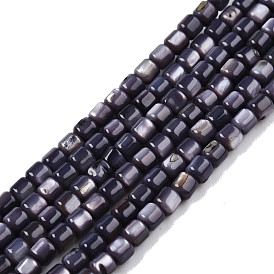 Natural Freshwater Shell Beads Strands, Dyed, Column