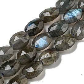 Natural Labradorite Beads Strands, Faceted, Flat Oval