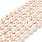 Natural Cultured Freshwater Pearl Beads Strands, Rice, Grade AA