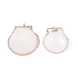 Natural Scallop Shell Pendants, Shell Shaped Charms with Golden Tone Iron Loops