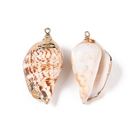 Natural Sea Shell Pendants, Shell Shaped Charms with Golden Tone Iron Loops