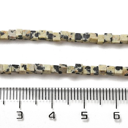 Natural Dalmatian Jasper Beads Strands, Cube