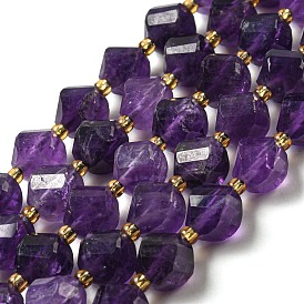 Natural Amethyst Beads Strands, with Seed Beads, Faceted Twist