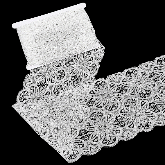 1Pc Spandex with Nylon Lace Edge Trim Ribbon, for Cloth Dress Sewing Accessories, with 1Pc Cardboard Display Card