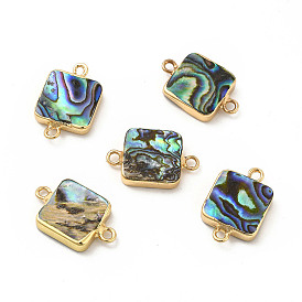 Natural Paua Shell Connector Charms, with Brass Double Loops, Square Links