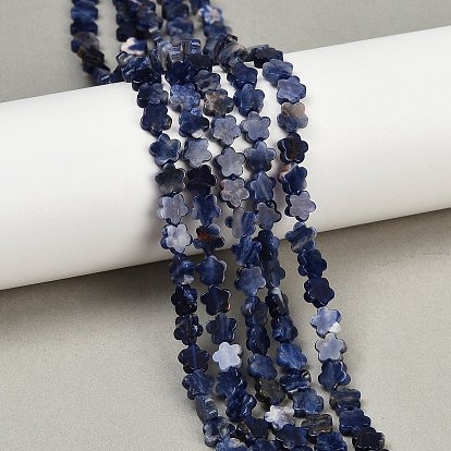 Природный содалит бисер нитей, цветка сливы