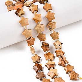 Natural Picture Jasper Beads Strands, with Seed Beads, Faceted Star