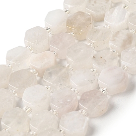 Natural Rainbow Moonstone Beads Strands, Hexagon, with Seed Beads