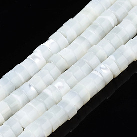 Natural Trochid Shell/Trochus Beads Strands, Column