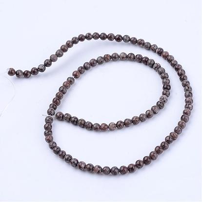 Natural Snowflake Obsidian Beads Strands, Round