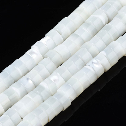Natural Trochid Shell/Trochus Beads Strands, Column