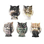 Sea Shell Pendants, Owl