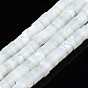 Natural Trochid Shell/Trochus Beads Strands, Column