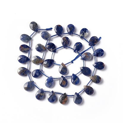Natural Sodalite Beads Strands, Top Drilled Beads, Faceted, Teardrop