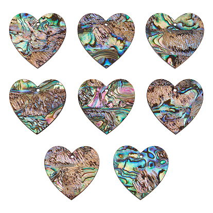 8шт. подвески из натуральной ракушки пауа/ракушки абалона, cmолой назад