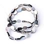 Natural Black Lip Shell Bead Strands, Flat Oval