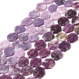 Natural Lepidolite Beads Strands, Hexagon