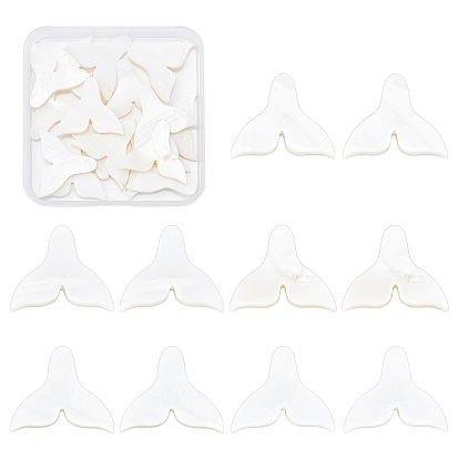 Natural Freshwater Shell Beads, Half Drilled, Fishtail