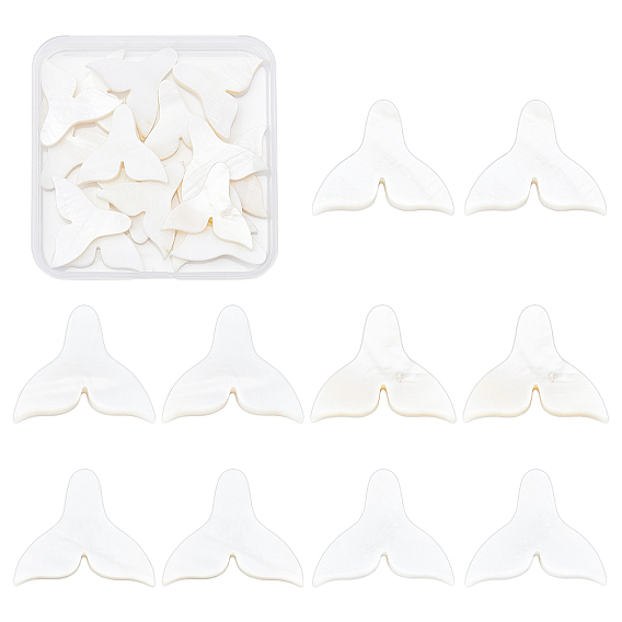 Natural Freshwater Shell Beads, Half Drilled, Fishtail