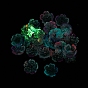 Luminous Transparent Resin Beads, Glow in the Dark Flower Beads with Glitter Powder
