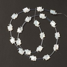 Natural White Shell Mother of Pearl Shell Beads, Cat