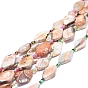 Natural Fire Crackle Agate Beads Strands, Dyed & Heated, Rhombus
