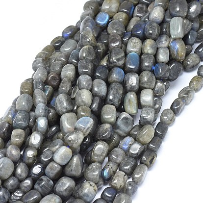 Natural Labradorite Beads Strands, Cuboid