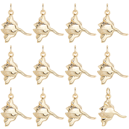 12шт. подвески из латуни в виде ската манты, без кадмия и без свинца, долговечный, стойки покрытие, с целью перехода в кольце