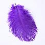 Ostrich Feather Costume Accessories, Dyed