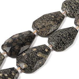 Natural Snowflake Obsidian Beads Strands, Faceted Teardrop